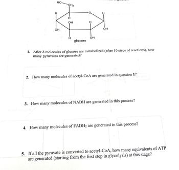 HO
CH₂
H
H
K
OH
OH
H
glucose
H
OH
H
OH
1. After 3 molecules of glucose are metabolized (after 10 steps of reactions), how
many pyruvates are generated?
2. How many molecules of acetyl-CoA are generated in question 1?
3. How many molecules of NADH are generated in this process?
Jobis
4. How many molecules of FADH₂ are generated in this process?
5. If all the pyruvate is converted to acetyl-CoA, how many equivalents of ATP
are generated (starting from the first step in glycolysis) at this stage?