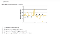 QUESTION 6
Which of the following statements is correct?
-40
-50 -
-60 -
D E F
-70 -
Ав с
-80 -
-90
Time
"F" represents an action potential
"D" represents membrane repolarization
"A" represents a hyperpolarizing graded potential
"B" represents a graded depolarization of the cell membrane
Membrane potential (mV)
