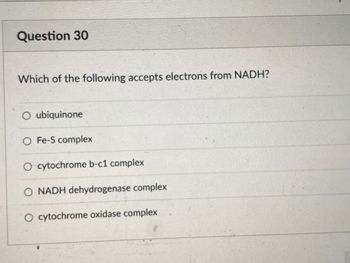 Question 30
Which of the following accepts electrons from NADH?
O ubiquinone
O Fe-S complex
O cytochrome b-c1 complex
O NADH dehydrogenase complex
O cytochrome oxidase complex