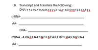 B. Transcript and Translate the following:
DNA-TACTGATCGACCCCCATAATGAAAATCGGGCCC
MRNA-
AA-
DNA -
MRNA - AUGGCG AGGCGGCAGCUCUUAUGGUGA
AA -
