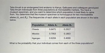 Taita thrush is an endangered bird endemic to Kenya. Galbusera and colleagues genotyped
Taita thrush individuals from three populations at microsatellite markers. You have a
museum specimen, and you want to determine which population it most likely to came
from. You determine that the museum specimen is homozygous for two microsatellite
alleles (A₁ and B₁). The frequencies of each allele in each population are shown in the table
below.
Population
Chawia
Mbololo
Allele A₁
0.6471
0.7063
0.6204
Allele B₁
0.2917
0.1863
0.4000
Ngangao
What is the probability that your individual comes from each of the three populations?