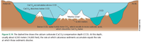 Antarctic
Arctic
Caco, accumulates above CCD
Caco, dissolves below CD
CCD
"Marine snow"
4,500 meters
Below CCD, water holds more CO, which results in more carbonic acid,
which dissolves CaCO, faster.
Figure 5.14 The dashed line shows the calcium carbonate (Caco,) compensation depth (CCD). At this depth,
usually about 4,500 meters (14,800 feet),
rate at which calcareous sediments accumula
equals
rate
at which those sediments dissolve.
