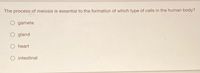 The process of meiosis is essential to the formation of which type of cells in the human body?
gamete
gland
O heart
O intestinal
