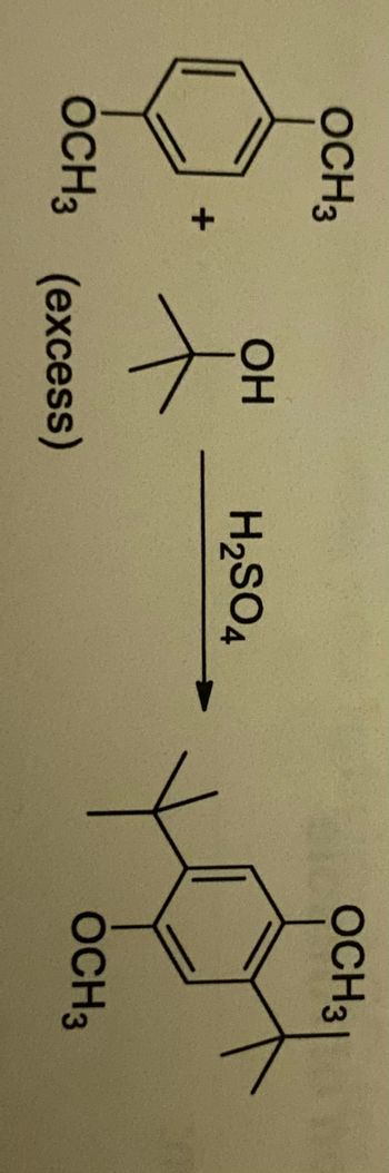 OCH 3
+
OH
OCH3 (excess)
H2SO4
OCH 3 |
OCH3