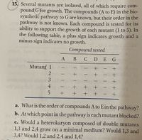 15. Several mutants are isolated, all of which require com-
pound G for growth. The compounds (A to E) in the bio-
synthetic pathway to G are known, but their order in the
pathway is not known. Each compound is tested for its
ability to support the growth of each mutant (1 to 5). In
the following table, a plus sign indicates growth and a
minus sign indicates no growth.
olord bos og elu Compound tested
А В
B CDEG
Mutanf 1
a. What is the order of compounds A to E in the pathway?
b. At which point in the pathway is each mutant blocked?
c. Would a heterokaryon composed of double mutants
1,3 and 2,4 grow on a minimal medium? Would 1,3 and
3,4? Would 1,2 and 2,4 and 1,4?
+ + + +
3 45
