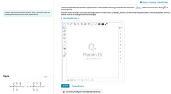 Proteins are made from chains of amino acids. The amino acids are
joined together by structures called peptide bonds.
Figure
Η Η Ο
||
HHO
H-N-C-C-O + H-N-C-C-
||
Η Η
Η Η
1 of 1
Draw the dipeptide that results when a peptide bond is formed between the two glycine molecules shown here. (Figure 1) Draw it as it would occur at the pH of
most body fluids.
Draw the molecule on the canvas by choosing buttons from the Tools (for bonds), Atoms, and Advanced Template toolbars. The single bond is active by
default. Include all hydrogen atoms and charges.
▶ View Available Hint(s)
NN
[1]
Submit
H2D EXP. CONT: ?
Marvin JS
by ChemAxon
Previous Answers
A
X Incorrect; Try Again; One attempt remaining
H
C
N
O
CI
Br
I
Review | Constants | Periodic Table
P
F