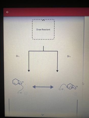 Draw Reactant
Br2
Br2
Bite
BIO