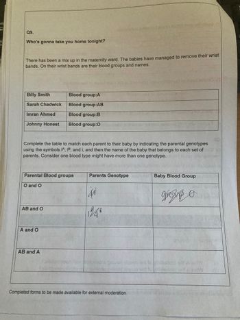 ab
H
Q9.
Who's gonna take you home tonight?
There has been a mix up in the maternity ward. The babies have managed to remove their wrist
bands. On their wrist bands are their blood groups and names.
and art
Billy Smith
Blood group:A
Sarah Chadwick
Blood group:AB
Imran Ahmed
Blood group:B
Johnny Honest
Blood group:0
nislax
80
Complete the table to match each parent to their baby by indicating the parental genotypes
using the symbols IA, IB, and i, and then the name of the baby that belongs to each set of moo
parents. Consider one blood type might have more than one genotype. ever
Parental Blood groups
Parents Genotype
Baby Blood Group
O and O
si
grappo
AB and O
196²
A and O
AB and A
Completed forms to be made available for external moderation.