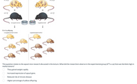 A/a O
A"/a
afa Q
afa Q
Unsupplemented
Supplemented
b A"/a offspring
Unsupplemented mother
Supplemented mother
This question relates to the aqouti mice research discussed in the lecture. What did the researchers observe in the experimental group (AVYA x aa) that was fed diets high in
methyl donors?
They gained weight rapidly.
Increased expression of aqouti gene.
Reduced risk of chronic disease
Higher percentage of yellow offspring.
