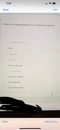 7:37
Edit
Done
Which of the following things is/are true about this organism?
Invertebrate chordate
fish
Agnathan
has jaws
lives in the water -
has a backbone
Phylum Chordata
amniotic egg
Class Osteichthyes
More
MacBook Air
Add to story