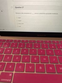 Question 17
Osmosis is the movement of
across a selectively permeable membrane.
O sugars
O oxygen
O amino acids
O water
A3 .pptx
MacBook Air
F1
F2
F3
DII
F4
F5
F6
F7
F8
@
23
24
&
*
2
4
E
Y
S
D
G
H
J
V
command
* 00
B
R
w/
