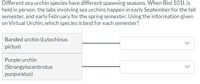 Different sea urchin species have different spawning seasons. When Biol 101L is
held in person, the labs involving sea urchins happen in early September for the fall
semester, and early February for the spring semester. Using the information given
on Virtual Urchin, which species is best for each semester?
Banded urchin (Lytechinus
pictus)
Purple urchin
(Strongylocentrotus
purpuratus)
>
>
