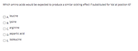 Which amino acids would be expected to produce a similar sickling effect if substituted for Val at position 6?
leucine
O A.
O B. lysine
Oc. arginine
O D.
aspartic acid
DE.
isoleucine
