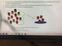 1. Describe (write) the hierarchical organization of the naming system for humans- you might need to do some
research (no Wikipedia please!)
2. Describe 2 major lines of evidence for evolution and how they support the theory of evolution.
3. Use the image below to answer the following questions.
a. Does the image represent the bottleneck or founder effect?
b. Explain your answer above?
What are some disadvantages of this?
С.
+66
hp
