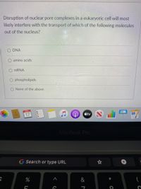 Disruption of nuclear pore complexes in a eukaryotic cell will most
likely interfere with the transport of which of the following molecules
out of the nucleus?
DNA
amino acids
MRNA
phospholipids
O None of the above
DEC
17
étv
MacBook Pro
G Search or type URL
%
&
厂
