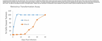 A graduate student isolates two new retroviruses: Virus A and Virus B. To determine whether these viruses could cause cancer, the student infected human cells with each of the viruses and then transfered the
infected cells to nude mice to see if the viruses would cause formation of tumors. The student was able to determine by PCR that both viruses are integrated into the genome of the host cells before transplanting
cell in mice. The data for this assay are shown in the figure below. Explain how the mechanism of transduction may be different for these two viruses to yield the observed data (limit 4-5 sentences).
Retrovirus Transformation Assay
% Cells Cause Tumors
120
100
80
60
40
20
0
0
10
-Virus A
-Virus B
30
20
Days Post Infection
40