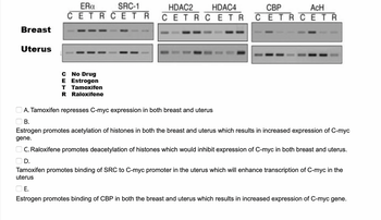 Breast
Uterus
ERa
SRC-1
C No Drug
E Estrogen
T Tamoxifen
R Raloxifene
HDAC2
HDAC4
CETRCETR CETRCETR
СВР
ACH
CETRCETR
A. Tamoxifen represses C-myc expression in both breast and uterus
B.
Estrogen promotes acetylation of histones in both the breast and uterus which results in increased expression of C-myc
gene.
C. Raloxifene promotes deacetylation of histones which would inhibit expression of C-myc in both breast and uterus.
D.
Tamoxifen promotes binding of SRC to C-myc promoter in the uterus which will enhance transcription of C-myc in the
uterus
E.
Estrogen promotes binding of CBP in both the breast and uterus which results in increased expression of C-myc gene.