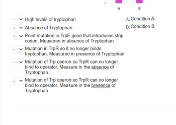 0
LA BAAD
A
✓ High levels of tryptophan
✓ Absence of Tryptophan
✓Point mutation in TrpE gene that introduces stop
codon. Measured in absence of Tryptophan
✓ Mutation in TrpR so it no longer binds
tryptophan. Measured in presence of Tryptophan
✓ Mutation of Trp operon so TrpR can no longer
bind to operator. Measure in the absence of
Tryptophan.
✓ Mutation of Trp operon so TrpR can no longer
bind to operator. Measure in the presence of
Tryptophan.
B
A. Condition A
B. Condition B