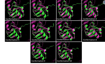 Conformation 1
Conformation 5
Conformation 2
Conformation 6
Conformation 9
Conformation 3
Conformation 7
Conformation 10
Conformation 4
Conformation 8