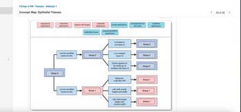 <Chap 4 HW: Tissues - Attempt 1
Concept Map: Epithelial Tissues
squamous
epithelium
Group 2
columnar
epithelium
can be classified
based on the
can be classified
based on the
typical cell shape
epithelial tissue
Group 2
cuboidal
epithelium
Group 1
simple epithelium
pseudostratified
epithelium
is limited to
one layer in
Is in multiple
layers in
falsely appears to
be made up of
multiple cell layers in
flattened,
scale-like cells
cells with similar
height and width
cells with longer
height and
shorter width
arrangement of
the cells
Group 2
Group 2
Group 2
Group 1
Group 1
Group 1
stratified
epithelium
23 of 33