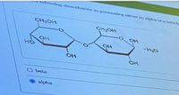 Tolowing disaccharlde as posseng her an alghs ora beta
CH OH
CH2OH
OH
OH
H20
OH
OH
O beta
alpha
