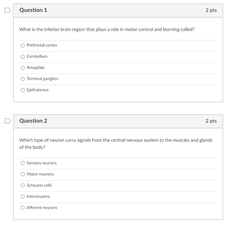 Question 1
What is the inferior brain region that plays a role in motor control and learning called?
Prefrontal cortex
Cerebellum
Amygdala
Terminal ganglion
O Epithalamus
Question 2
Sensory neurons
Which type of neuron carry signals from the central nervous system to the muscles and glands
of the body?
Motor neurons
O Schwann cells
O Interneurons
2 pts
Afferent neurons
2 pts