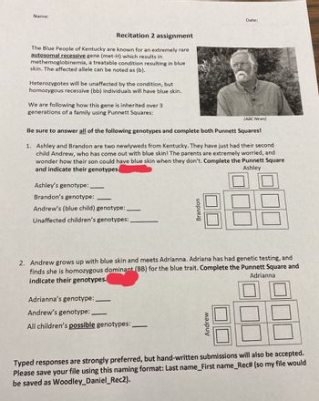 Name:
Recitation 2 assignment
The Blue People of Kentucky are known for an extremely rare
autosomal recessive gene (met-H) which results in
methemoglobinemia, a treatable condition resulting in blue
skin. The affected allele can be noted as (b).
Heterozygotes will be unaffected by the condition, but
homozygous recessive (bb) individuals will have blue skin.
We are following how this gene is inherited over 3
generations of a family using Punnett Squares:
Be sure to answer all of the following genotypes and complete both Punnett Squares!
Ashley's genotype:
Brandon's genotype:
Andrew's (blue child) genotype:
Unaffected children's genotypes:
1. Ashley and Brandon are two newlyweds from Kentucky. They have just had their second
child Andrew, who has come out with blue skin! The parents are extremely worried, and
wonder how their son could have blue skin when they don't. Complete the Punnett Square
and indicate their genotypes.
Ashley
Date:
Brandon
Adrianna's genotype: .
Andrew's genotype: .
All children's possible genotypes:
(ABC News)
2. Andrew grows up with blue skin and meets Adrianna. Adriana has had genetic testing, and
finds she is homozygous dominant (BB) for the blue trait. Complete the Punnett Square and
indicate their genotypes.
Adrianna
Andrew
Typed responses are strongly preferred, but hand-written submissions will also be accepted.
Please save your file using this naming format: Last name_First name_Rec# (so my file would
be saved as Woodley_Daniel_Rec2).