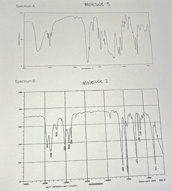 Spectrum A
(00
TRANSMETTANCELH
D
Spectrum B
100
48
4000
28
4888
3000
3443
3580
3382
3215
1882
2928
2000
3888
malt betueen salt plates
molecule 5
HAVENURSERI-1
1500
molecule 2
2588
HAVEKUNBERS
2888
1000
1622
1508
1221
1122
500
1080
18
Copyright 1992
888.8