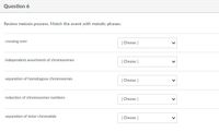 Question 6
Review meiosis process. Match the event with meiotic phases.
crossing over
| Choose )
independent assortment of chromosomes
| Choose
separation of homologous chromosomes
| Choose )
reduction of chromosomes numbers
| Choose J
separation of sister chromatids
| Choose J
>
>
>
