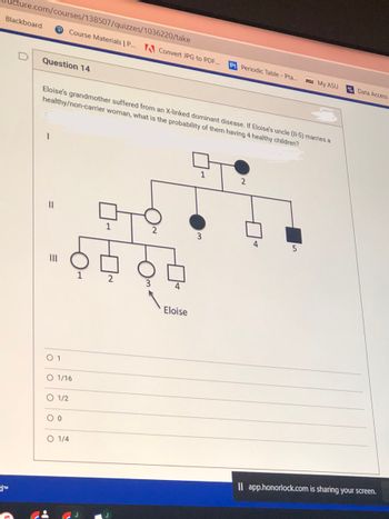 cture.com/courses/138507/quizzes/1036220/take
Blackboard
d™
Question 14
||
Eloise's grandmother suffered from an X-linked dominant disease. If Eloise's uncle (11-5) marries a
healthy/non-carrier woman, what is the probability of them having 4 healthy children?
01
Course Materials | P... A Convert JPG to PDF...
O 1/16
O 1/2
00
O 1/4
1
2
3
4
Eloise
1
Pt Periodic Table - Pta.... SU My ASU
3
2
4
5
Data Access
Il app.honorlock.com is sharing your screen.