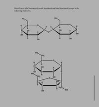 Identify and label hemiacetal, acetal, hemiketal and ketal functional groups in the
following molecules
HO
но.
H.
он
он
ÓH
H.
ÓH
он
но.
CH2
.C
H
H.
C
OH
ÓH
но,
CH2
OH
OH
HO,
ÓH
