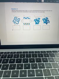 Page
1
> of 3
ZOOM
B. Propose une Toie onsuinin Teguiaung Dioou giucose concentrauon.
Question 2:
Label the protein structure level on lines 1,2,3, and 4 and label/describe the structure to which each box
corresponds. Describe the characteristics of each structural level in the boxes below.
MacBook Air
DII
80
888
F10
F7
FB
F5
F4
F3
*
&
#
$
7
8
3
4
E
R
T
Y
K
F
M
C
V
.. ..
この
* 00
B
