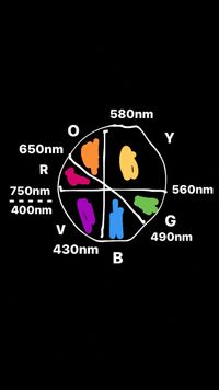 580nm
Y
650nm
R
750nm
560nm
- -- - -
400nm
G
V
490nm
430nm
В

