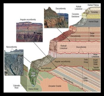 Nonconformity
Colorado
River
Angular unconformity
Inner
gorge
Vishnu Schist
Nonconformity
Disconformity
Redwall
Limestone
Angular unconformity
Zoroaster Granite
Kaibab
Limestone
Coconino
Sandstone
Disconformity
Nonconformity
Disconformity
Kaibab Plateau
Tonto
Group
Unkar
Group
Toroweap
Hermit Shale
Supai
Group
Muav
Limestone
Bright
Angel
Shale
Tapeats
Sandstone