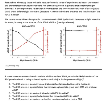 Researchers who study those rods cells have performed a series of experiments to better understand
this phototransduction pathway and the role of this PDE protein in patients that suffer from night
blindness. In one experiment, researchers have measured the cytosolic concentration of cGMP (cyclic-
GMP) under different light intensities (exposure = 10 min) in both the presence and the absence of the
PDE6i inhibitor.
The results are as follow: the cytosolic concentration of cGMP (cyclic-GMP) decreases as light intensity
increases, but only in the absence of the PDE6i inhibitor (see figure below).
Without PDE6i
cGMP concentration (A.U)
25
20
15-
10-
0
0
0.1
A.U (Arbitraty Unit)
0.2
0.3
Light intensity (A.U)
25
-20
-15
-10
-5
0.4
0
GMP concentration (A.U)
cGMP concentration (A.U)
25
20-
15-
10
0-
0
0.1
With PDE6i
0.2
0.3
Light intensity (A.U)
-20
C. The PDE protein is an oxidase that reduces GMP into a cGMP
D. The PDE protein is a phosphodiesterase that converts cGMP into a GMP
E. The PDE protein is an electron carrier that transfers an electron to the GMP
25
0.4
A. The PDE protein is a protein kinase that phosphorylates and activates the rhodopsin
B. The PDE protein is a phosphatase that removes a phosphate group from GMP and produces
CGMP
15
-0
5
9. Given these experimental results and the inhibitory role of PDE6i, what is the likely function of the
PDE protein when it is being activated by the transducin (i.e. in the presence of light)?
GMP concentration (A.U)