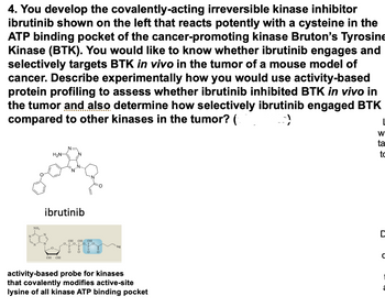 4. You develop the covalently-acting irreversible kinase inhibitor
ibrutinib shown on the left that reacts potently with a cysteine in the
ATP binding pocket of the cancer-promoting kinase Bruton's Tyrosine
Kinase (BTK). You would like to know whether ibrutinib engages and
selectively targets BTK in vivo in the tumor of a mouse model of
cancer. Describe experimentally how you would use activity-based
protein profiling to assess whether ibrutinib inhibited BTK in vivo in
the tumor and also determine how selectively ibrutinib engaged BTK
compared to other kinases in the tumor? (
NH₂
H₂N-
ibrutinib
OH OH
OH OH OH
activity-based probe for kinases
that covalently modifies active-site
lysine of all kinase ATP binding pocket
L
W
ta
to
C
с