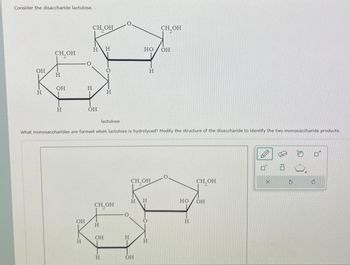 Consider the disaccharide lactulose.
0.
CH₂OH
сн, он
CH₂OH
HH
HO
OH
O
OH
H
H
OH
H
H
H
H
H
OH
lactulose
What monosaccharides are formed when lactulose is hydrolyzed? Modify the structure of the disaccharide to identify the two monosaccharide products.
CH₂OH
CH₂OH
H H
CH₂OH
HO
OH
OH
O
H
OH
H
H
H
H
OH
H
X
:0
G
P