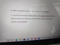 6) What is a blastema? Where is it formed and how does it appear?
7) Discuss the role of Wnt signaling pathway in the planarian regeneration. What
happens when the wnt signaling is perturbed? What happens when the wnt
signaling is over activated?
82 F Mos
