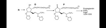 N
OH
O
CH₂CH=CH(CH₂)3CO2
C5H₁1
P
CH₂CH=CH(CH₂)3CO₂
-C5H11
Prostaglandin
PGE₂
Page
1254-1255