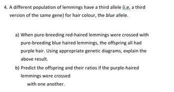 4. A different population of lemmings have a third allele (i.e. a third
version of the same gene) for hair colour, the blue allele.
a) When pure-breeding red-haired lemmings were crossed with
pure-breeding blue haired lemmings, the offspring all had
purple hair. Using appropriate genetic diagrams, explain the
above result.
b) Predict the offspring and their ratios if the purple-haired
lemmings were crossed
with one another.