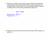 ### Mendelian Genetics Crosses

#### Problem 11:
Perform two consecutive genetic crosses similar to Mendel's experiments with the following plants: 

- **Initial Cross:** 
  - Plants with round seeds (genotype RR) are crossed with plants with wrinkled seeds (genotype rr).

- **F1 Generation:** 
  - The resulting offspring from the first cross should all have the genotype Rr, displaying the round seed phenotype, as round is dominant.

- **F2 Generation:**
  - Cross the F1 generation plants (Rr) to produce the F2 offspring.

#### Ratios for F2 Generation:
- **Phenotypic Ratio (Round : Wrinkled):** 
  - 3 : 1 
  - This means there will be three plants with round seeds for every one plant with wrinkled seeds.

- **Genotypic Ratio (RR : Rr : rr):** 
  - 1 : 2 : 1 
  - This indicates one plant with genotype RR, two plants with genotype Rr, and one plant with genotype rr.

#### Problem 12:
Perform two consecutive crosses between the plants with genotypes GGHH and gghh, as performed in Problem 11.

In this case, follow the same process to determine the phenotypic and genotypic ratios for the offspring after completing the crosses.