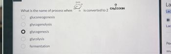 What is the name of process when
OOOOO
gluconeogenesis
glycogenolysis
glycogenesis
glycolysis
fermentation
CH₂OH
O, OH
OH
OH is converted to 2
0
La
CH³CCOOH
Lac
Lac
Pec
Wha