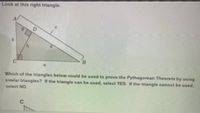 Look at this right triangle.
B.
Which of the triangles below could be used to prove the Pythagorean Theorem by using
similar triangles? If the triangle can be used, select YES. If the triangle cannot be used,
select NO.
C
