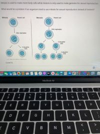 Mitosis is used to make more body cells while meiosis is only used to make gametes for sexual reproduction.
What would be a problem if an organism tried to use mitosis for sexual reproduction instead of meiosis?
Mitosis
Parent cell
Meiosis
Parent cell
DNA replicates
DNA replicates
2 daughter
cells
2 daughter
cells
4 daughter
cells
U.S. National Library of Medicine
(Level 3)
26,426
étv
6
MacBook Air
80
DII
F5
F7
F8
F9
F10
F11
F2
F3
#
$
3
4
9.
7
8
9
E
Y
D
J
K
C
V
V
B
