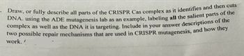 . Draw, or fully describe all parts of the CRISPR Cas complex as it identifies and then cuts
DNA. using the ADE mutagenesis lab as an example, labeling all the salient parts of the
complex as well as the DNA it is targeting. Include in your answer descriptions of the
two possible repair mechanisms that are used in CRISPR mutagenesis, and how they
work.