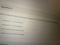 Question 3
Which molecule below would pass through the fenestrations on the glomerular capillaries?
O molecule A = 1 nm in diameter
%3D
molecule B = 2 nm in diameter
both A and B would pass through
neither A or B would pass through.
1 nts
estion 4
