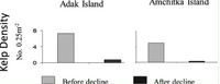 Adak Island
Amchitka Island
8
4
Before decline
After decline
Kelp Density
No. 0.25m2
