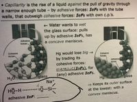 • Caplillarity is the rise of a liquid against the pull of gravity through
a narrow enough tube by adhesive forces: IeFs with the tube
walls, that outweigh cohesive forces: IeFs with own c.p.'s.
Water wants to wet
the glass surface: pulls
up by adhesive IeFs, has
Adhesive
forces-
a concave meniscus.
Cohesive
forces
Hg would lose big →
by trading its
Cohesive
forces,
cohesive forces:
Adhesive
forces
glass
Na+
metallic(IaFs), for
(any) adhesive IeFs.
Hg
H2O
glass
→ Keeps its outer surface
HÖ-H.-
:O-si-
at the lowest: with a
adhesive IeF:
convex meniscus.
