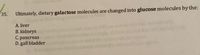 35.
Ultimately, dietary galactose molecules are changed into glucose molecules by the:
A. liver
B. kidneys
C. pancreas
D. gall bladder
