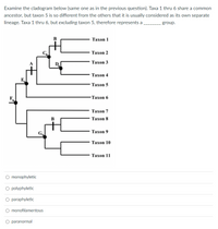 Examine the cladogram below (same one as in the previous question). Taxa 1 thru 6 share a common
ancestor, but taxon 5 is so different from the others that it is usually considered as its own separate
lineage. Taxa 1 thru 6, but excluding taxon 5, therefore represents a
group.
B
Тахоn 1
Тахоn 2
Taxon 3
Тахоn 4
Taxon 5
-Тахоn 6
Тахоn 7
B
Тахоn 8
Тахоn 9
Тахоn 10
Taxon 11
O monophyletic
polyphyletic
O paraphyletic
monofilamentous
O paranormal
